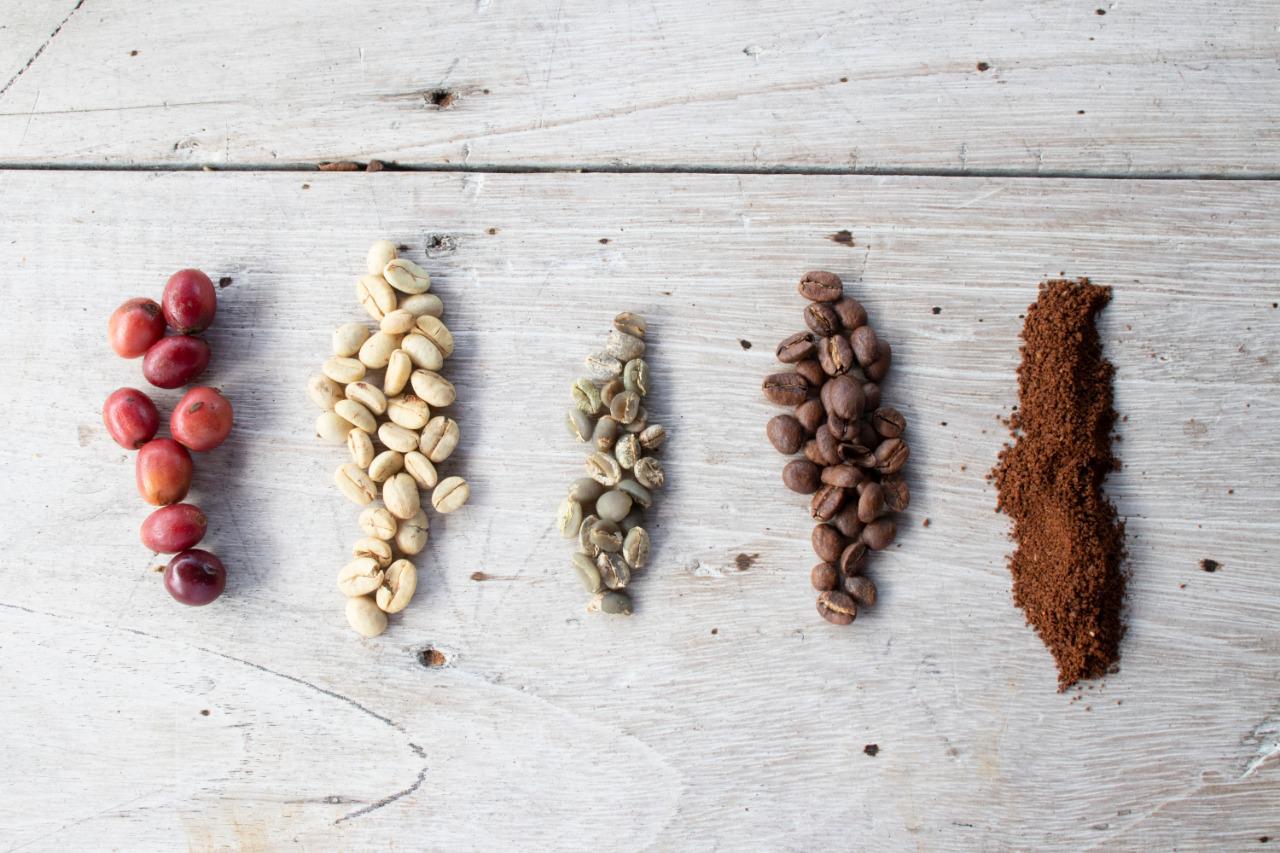 Coffee Drips